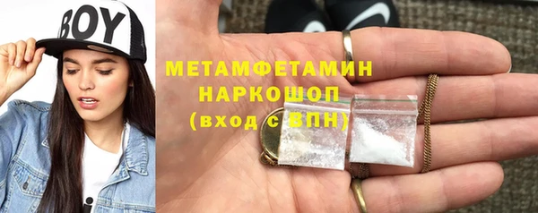 амф Грязовец