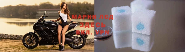 амф Грязовец
