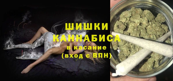 амф Грязовец