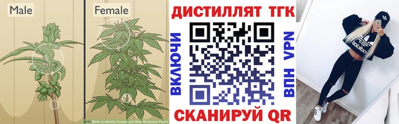 ТГК жижа  продажа наркотиков  Гдов 