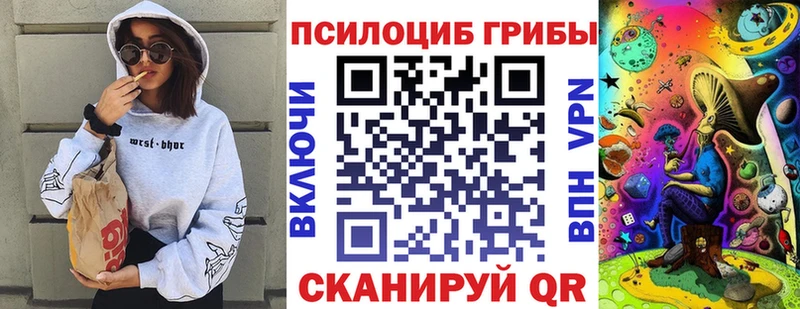 Псилоцибиновые грибы MAGIC MUSHROOMS  где продают наркотики  Гдов 